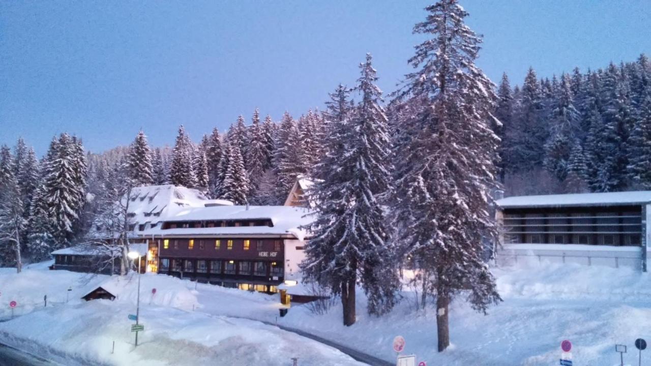 Residenz-Grafenmatt-Feldberg-Schwarzwald Lejlighed Feldberg  Eksteriør billede