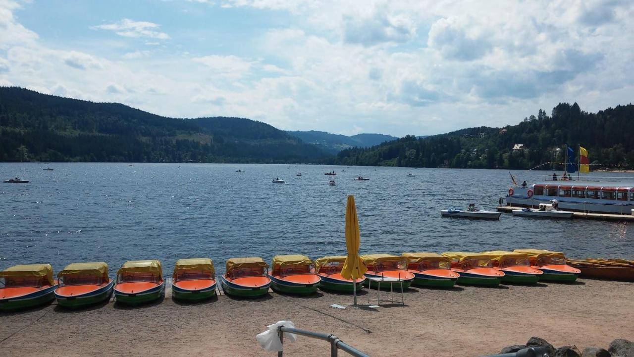 Residenz-Grafenmatt-Feldberg-Schwarzwald Lejlighed Feldberg  Eksteriør billede